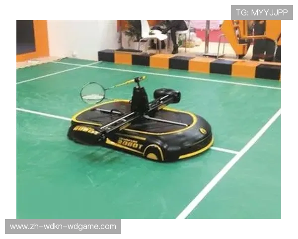 羽毛球机器上线