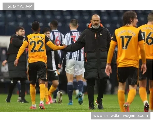 英超西布朗维奇球队历史与现状 英超西布朗维奇球队历史与现状