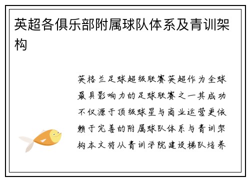 英超各俱乐部附属球队体系及青训架构